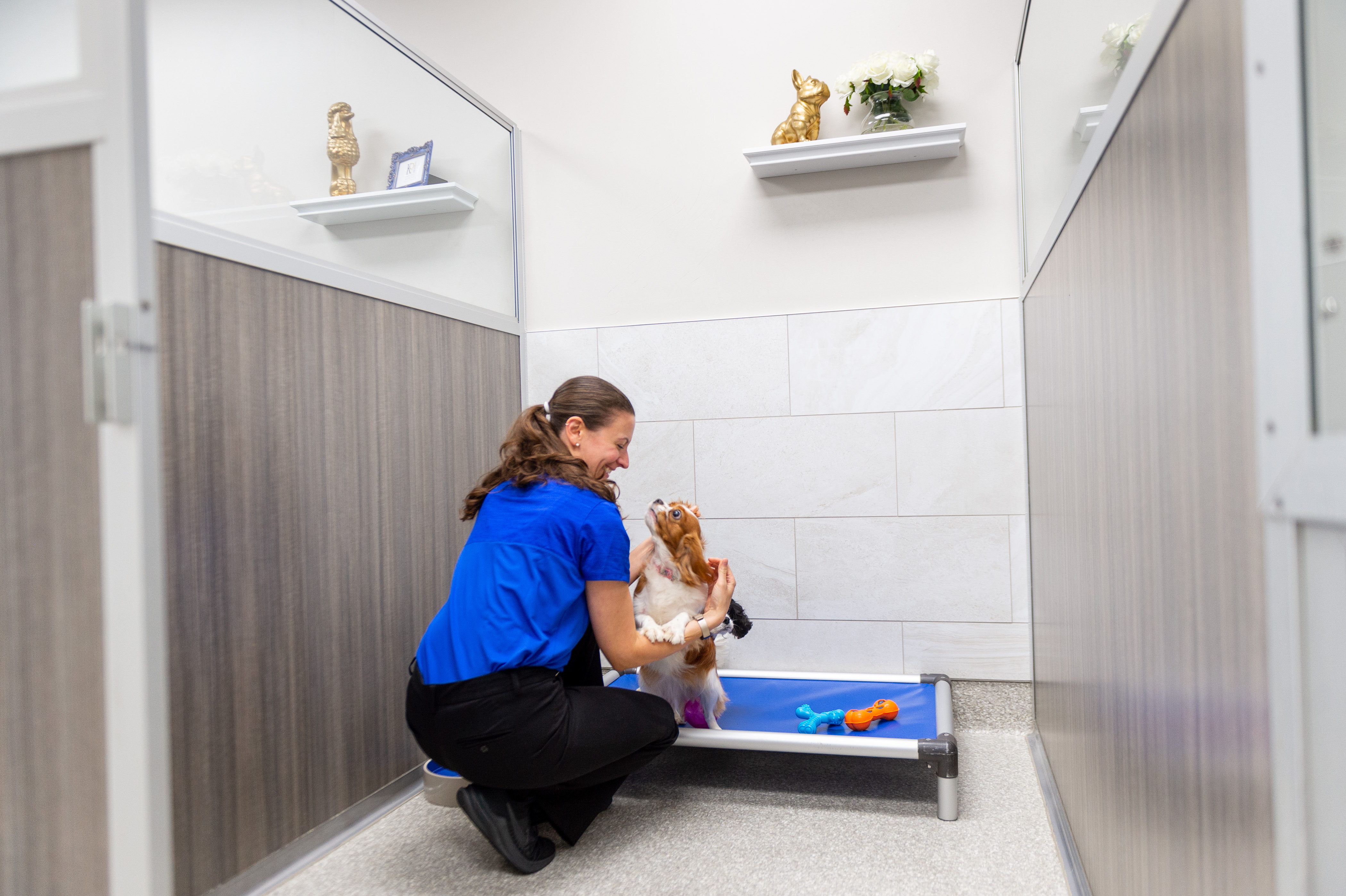 A happy small dog receiving a loving cuddle from a staff member at our Hillsborough small dog daycare.